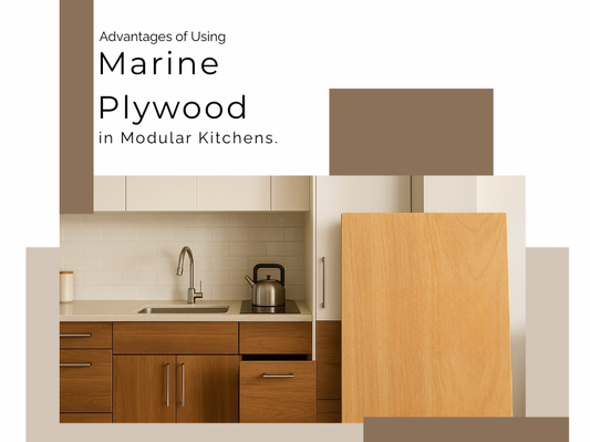 Advantages of Using Marine Plywood in Modular Kitchens | Benefits & Durability