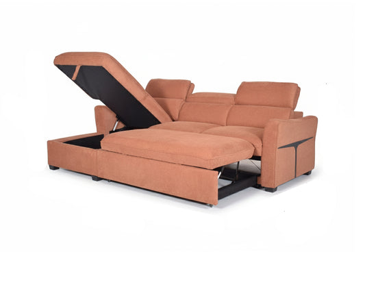 Abrazo Sectional Sofa Cum Bed