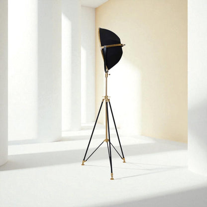 Vintage-style floor lamp with black shade and gold base on a white background